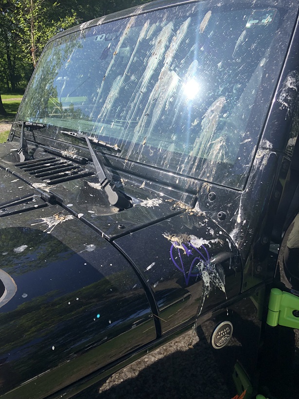 A black jeep with bird poop all down the windshield and all over the hood.