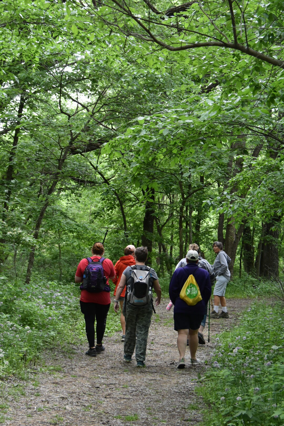 Women hiking down a tree covered trail.