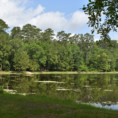 23 acre lake in the Double Lake Recreation Area