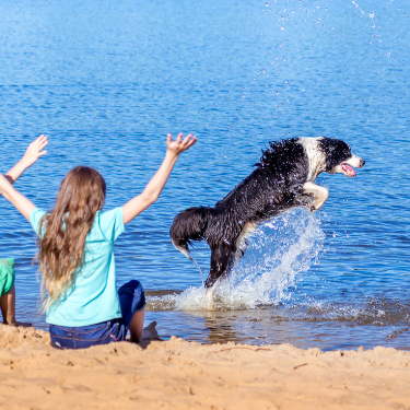 Pet travel site shows a Girl sitting by a lake watching a black and white dog jump and play in the water