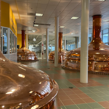 The large copper stills take up an enire floor of the brewery.  The are bright and shining and immaculately maintained.