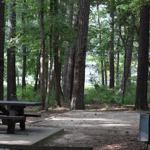 Site 63 RV or trailer site at Double Lake Recreation Area campground is surrounded by trees and backs to the lake