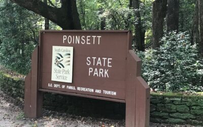 Let’s Go: Poinsett State Park and Sumter, SC