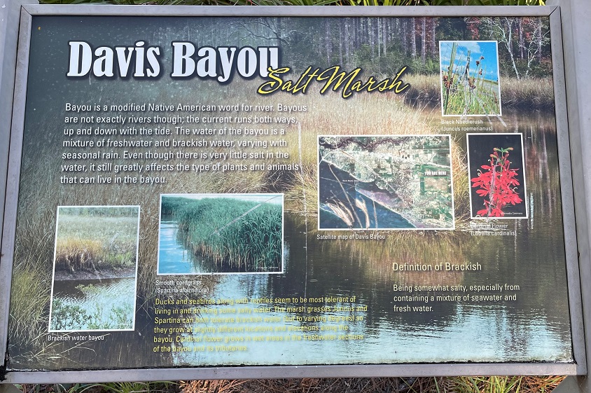 A descriptive sign from the guided hike, describing the Davis Bayou.