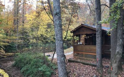 Let’s Go: Cabin Camping, KOA Traveler’s Rest, South Carolina
