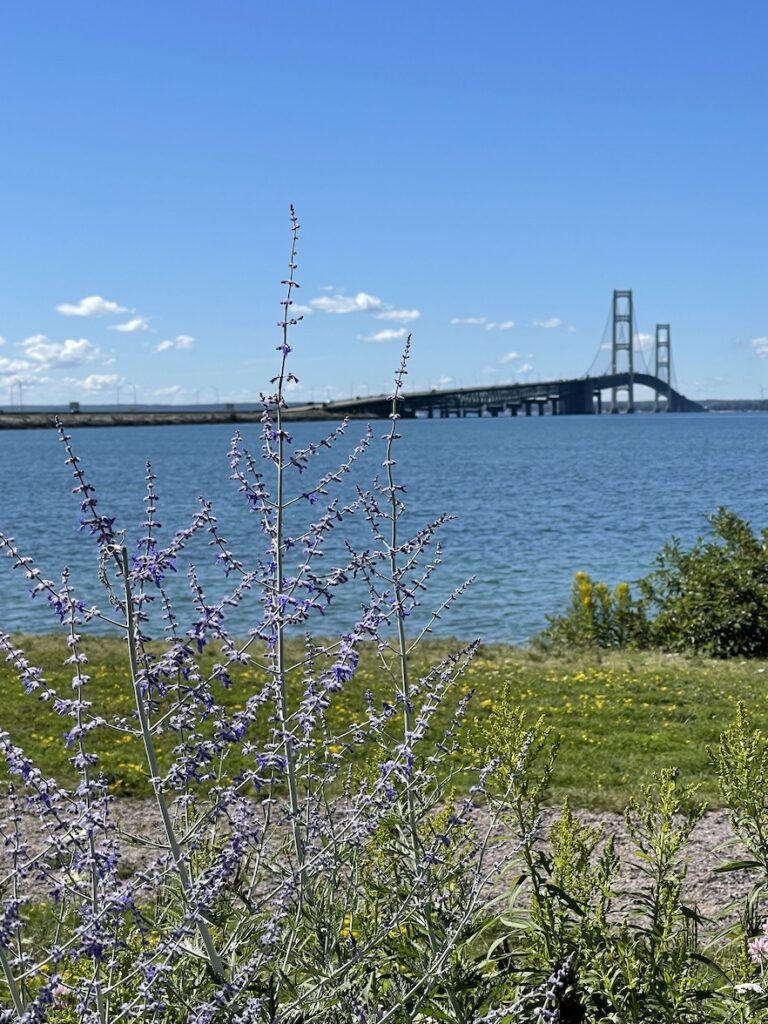 View of the Mackinac Bridge over the Mackinaw River