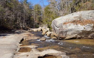 Let’s Go: Keowee-Toxaway State Park