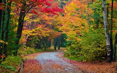 MI – See Ya Summer! It’s Fall, Ya’ll!!