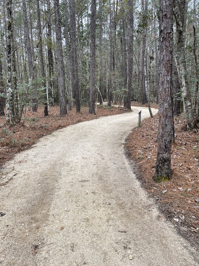 Trail leading to Crosby Arboretum