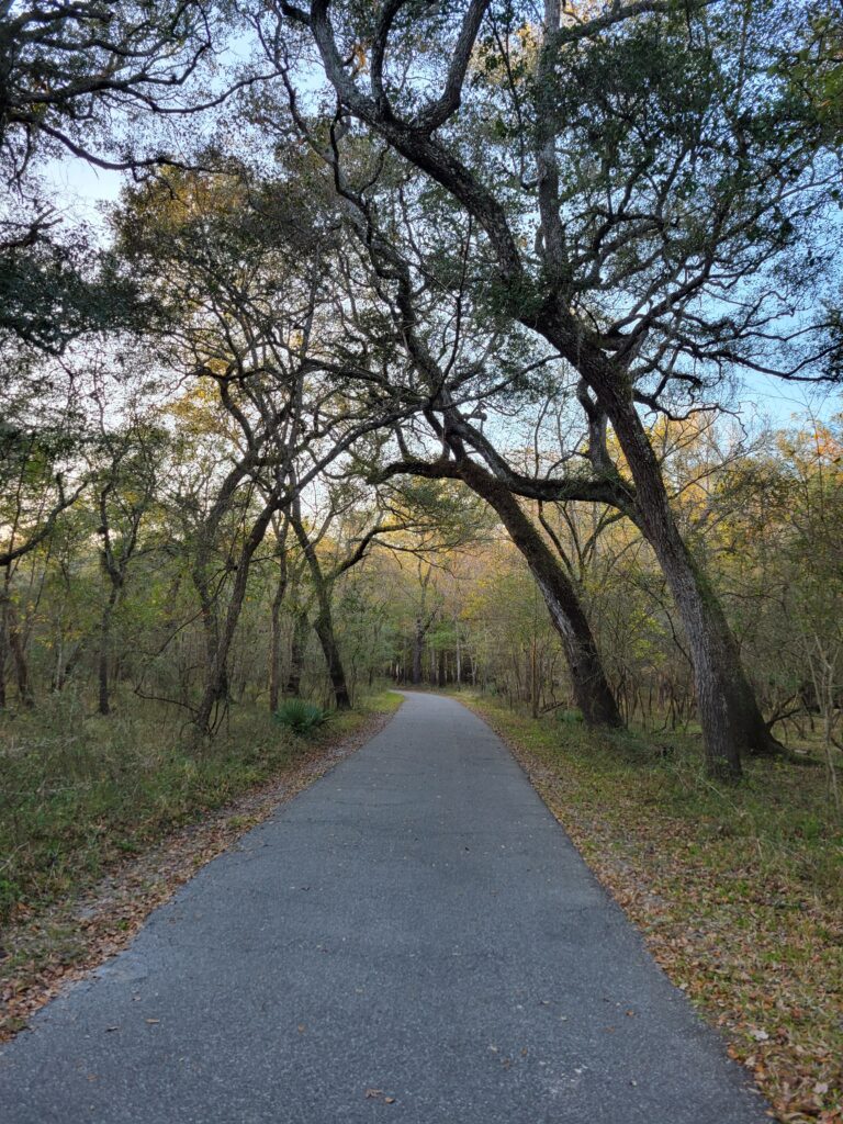 A view of the trail at Hart Springs State Park in Florida.