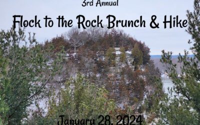 IL – 3rd Annual Flock to the Rock Brunch