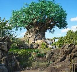 FL – Girl Camper does Disney’s Animal Kingdom!
