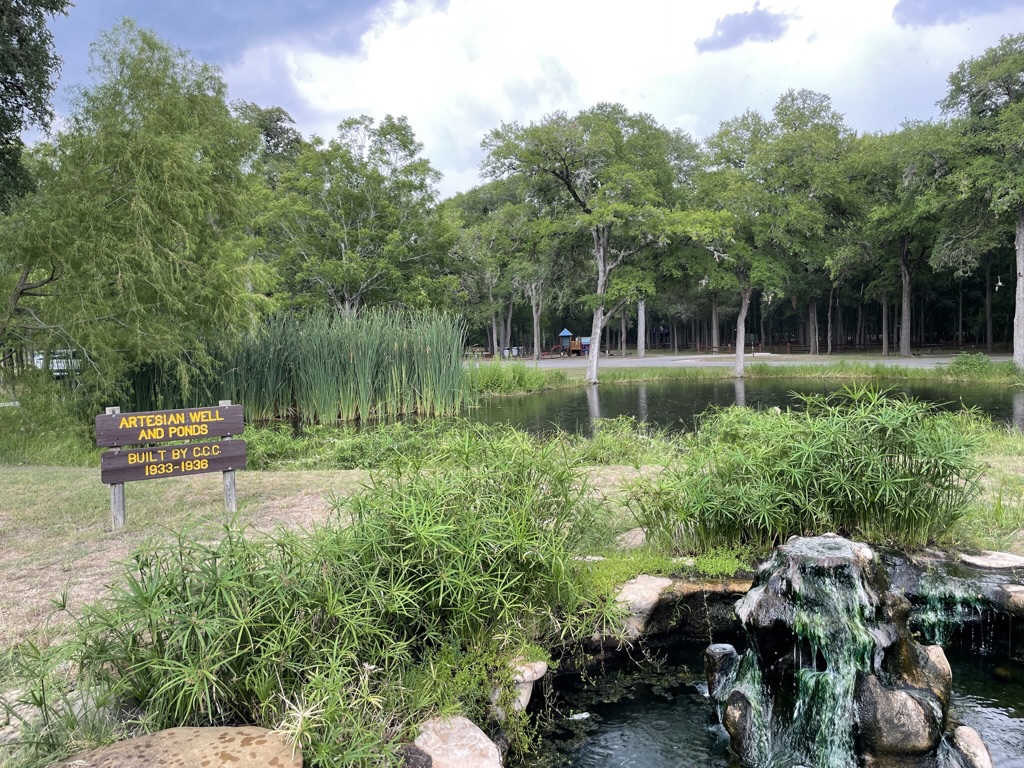 A spring fed artesian well feeds into several ponds.  The ponds have tall green cat tails and trees around them at Palmetto State Park