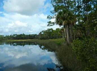 FL – Let’s play historic tourist at home!