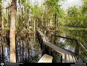 FL – Let’s a Walk on the Catwalk with Gators!