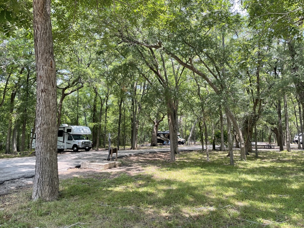 A circular road winds through tall trees in Palmetto State Park with spaces for RVs, trailers, and campers in the background.