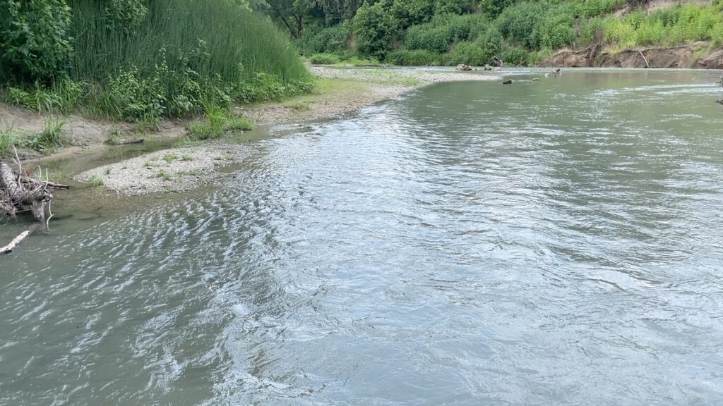 The San Marcos River Flows along a sandy shoreline in the Palmetto State Park.
