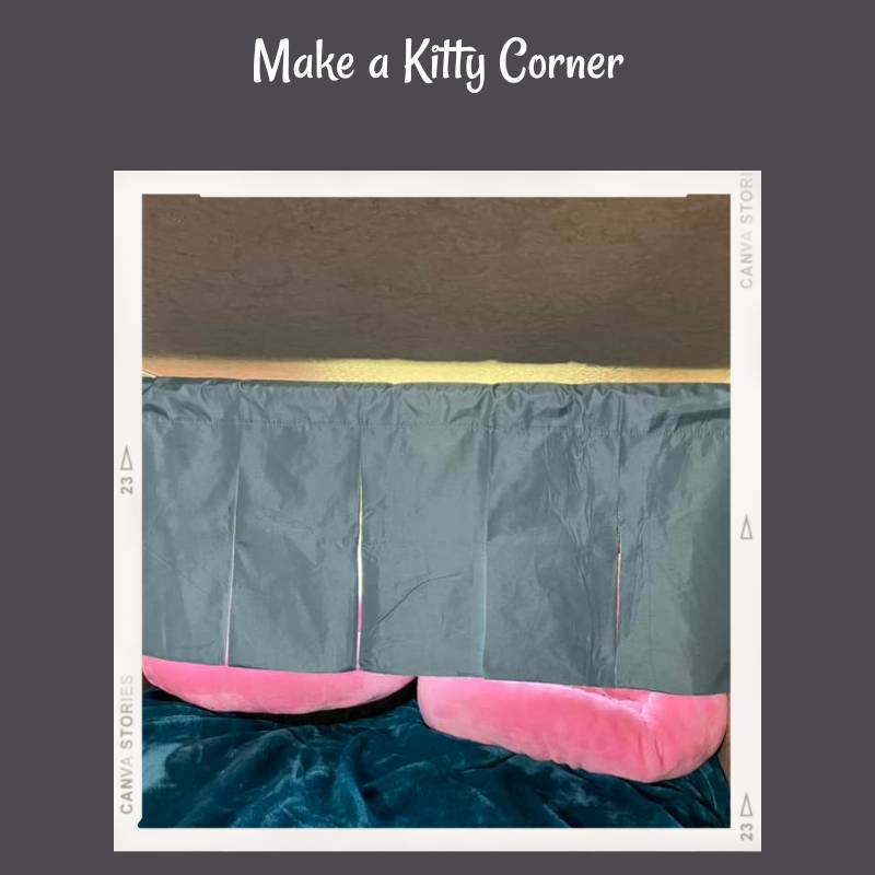 A series of images showing pink cat beds in a bunk on a trailer.  Two cats are sleeping in the corner.
