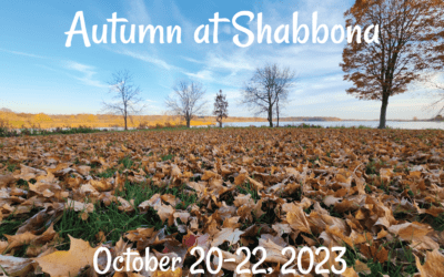 IL – Autumn at Shabbona