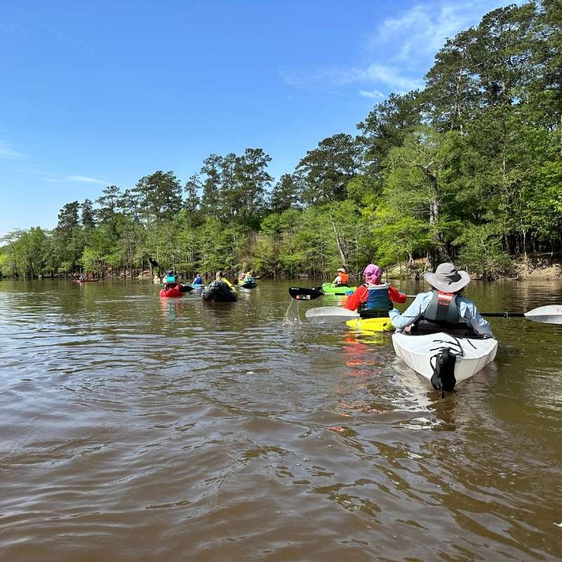 Girl Campers paddling on Village Creek for Paddle Camp.