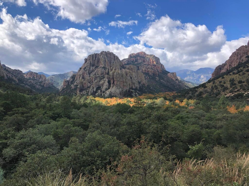 Near by Arizona Mountains