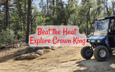 AZ – Beat the Heat and Explore Crown King