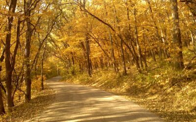 GA – Autumn Leaves are Falling