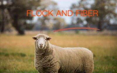 OR – Flock and Fiber Festival