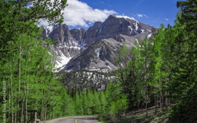 National Park Focus:  Great Basin National Park