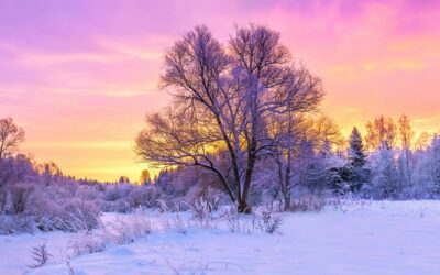 MI – Winter Nights and Twinkle Lights