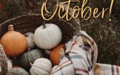NM – SEEDS OF FRIENDSHIP LUNCH