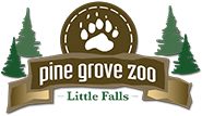 In Your MN Backyard: Pine Grove Zoo–Animal Encounters