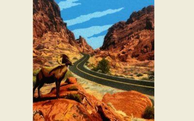 NV – CA/UT -National Park Series – STOP #3 -Valley of Fire State Park – April 2025