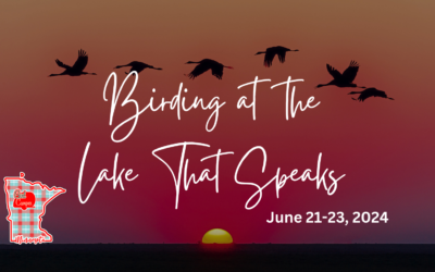 MN–Birding at the Lake That Speaks