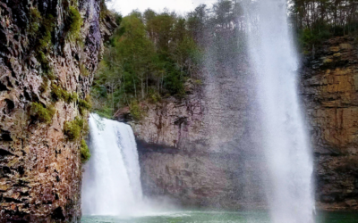 AL – Falling for Tennessee