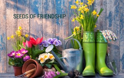 NM – SEEDS OF FRIENDSHIP