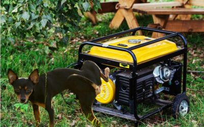 Crappy Camper Episode 2:  Noisy Dogs & Generators