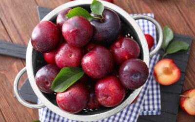 Homemade Plant-Based Beauty