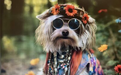 CA – DOGGIE DAZE III – WOOFSTOCK Lake County – MAY 2025