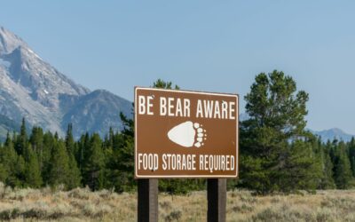 Be Bear Aware