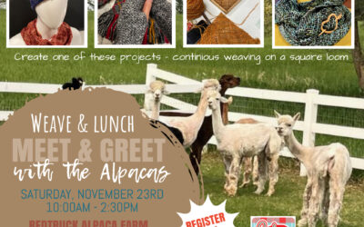 SD – Weave & Lunch w/Alpacas Meet & Greet: November 23rd