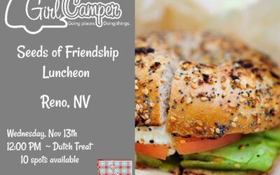 NV – Seeds of Friendship Lunch 11/13