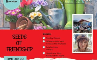 TX – Seeds of Friendship Dinner – Ft. Worth