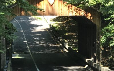 MI – Tunnel of Trees
