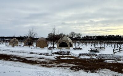 Alexis Bailly Vineyard & Winery – Girl Camper MN Adventures