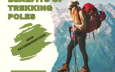 Benefits of Trekking Poles