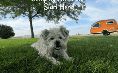 Camping with Pets: Essential Tips for Stress-Free Fur Babies