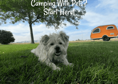 small dog laying on grass with small orange teardrop camper in background