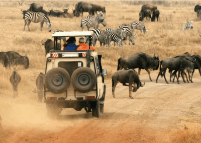 Wild & Wonderful: Info Meeting for Kenya & Tanzania Adventure