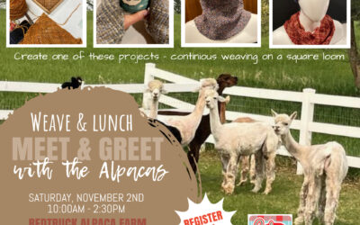 SD – Meet & Greet: Nov 2 Weave & Lunch with Alpacas